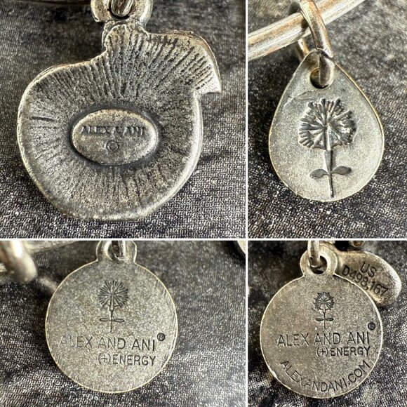 Alex and Ani Apple Charm Bracelet Silver Nature Expandable Bangle - Picture 4 of 14